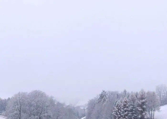 Im Laendlichen Flair